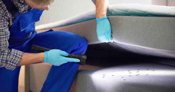Best Bed Bug Extermination  in Clifton, NJ