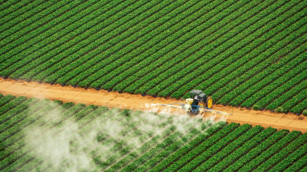 Best Mosquito Control Services  in Clifton, NJ