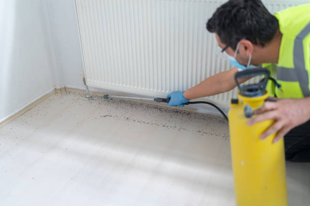 Best Affordable Exterminators  in Clifton, NJ